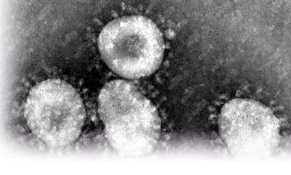 新冠狀病毒中東再奪一命 袁國勇：毒性強如H5N1禽流感