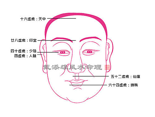 按此瀏覽命理館網誌