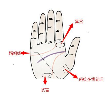 手相学：桃花最旺的几种手相